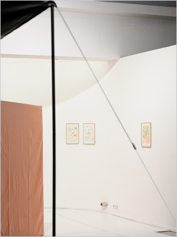 Ausstellung, 2018 AUSSEN OHNE INNEN , Galerie BRIGET STERN , Hamburg